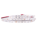LED-Lichtband White mit Linse 160°, 24V, 10mm breit -  bis zu 20m mit einem seitlichen Kabel | für Hinterleuchtung