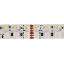 LED-Lichtband Color & Ambience Pro, Ra90+, 24V, 8W/m, 12mm | RGB & CCT zweireihig