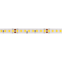 LED strip light White Eta 160, 9.6W/m, 8mm/10mm (with IP67), 24V - high efficiency