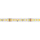 LED-Lichtband White Eta 160, 9.6W/m, 8mm, 24V - hohe Effizienz