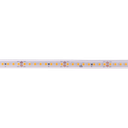 LED strip light White Eta 160, 9.6W/m, 8mm/10mm (with IP67), 24V - high efficiency