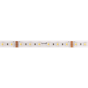 LED strip light Color &amp; White, 24V, 4.8W/m, 12mm/14mm (with IP67) wide - RGBW (4in1)