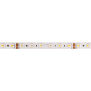 LED-Lichtband Color & White, 24V, 4.8W/m, 12mm/14mm (bei IP67) breit - RGBW (4in1)