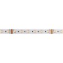 LED light strip Color &amp; Ambience, 2300K-6500K, CRI 80+, 24V, 4W/m, 12mm wide - RGB &amp; CCT (5in1)